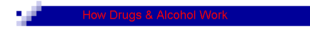 How Drugs & Alcohol Work